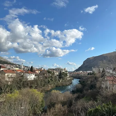 Apartment Collina